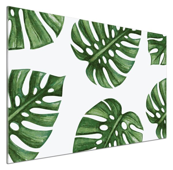 Skleněný panel do kuchynské linky Monstera pksh-101795652