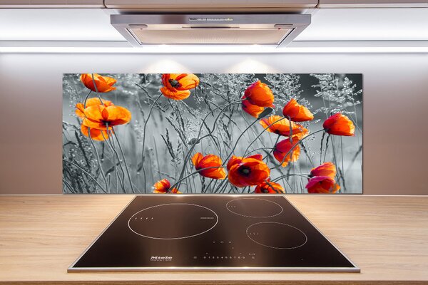 Dekorační panel sklo Polní mák pksh-102051546