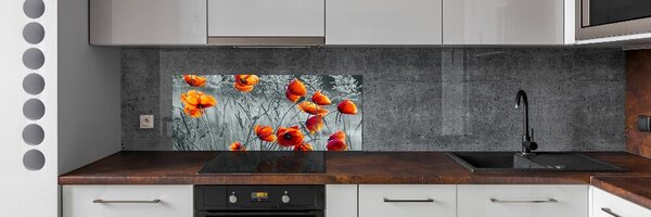 Dekorační panel sklo Polní mák pksh-102051546