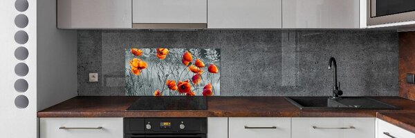 Dekorační panel sklo Polní mák pksh-102051546