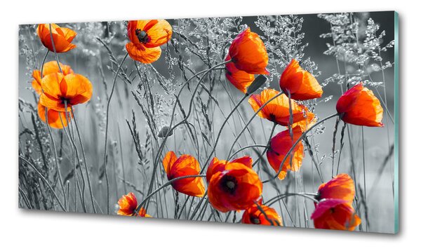 Dekorační panel sklo Polní mák pksh-102051546
