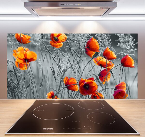 Dekorační panel sklo Polní mák pksh-102051546