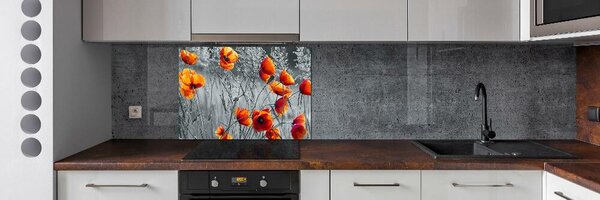 Dekorační panel sklo Polní mák pksh-102051546
