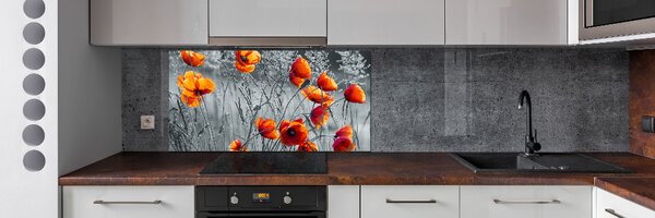 Dekorační panel sklo Polní mák pksh-102051546
