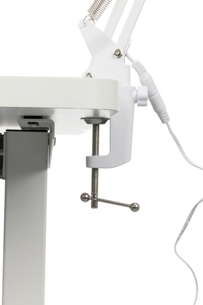 LAMPA NA PSACÍ STŮL, 60/15,8/33 cm Novel - Kancelářské lampy