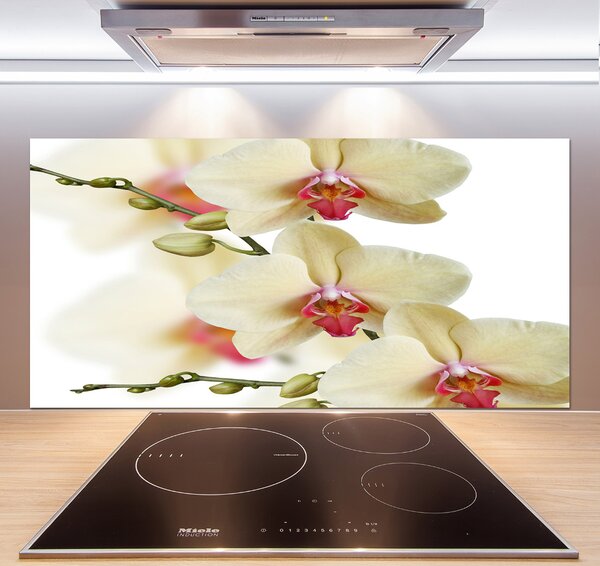 Skleněný panel do kuchynské linky Orchidej pksh-102443917