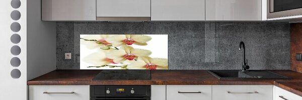 Skleněný panel do kuchynské linky Orchidej pksh-102443917