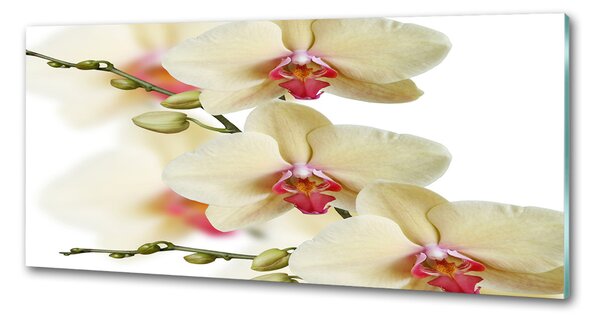 Skleněný panel do kuchynské linky Orchidej pksh-102443917