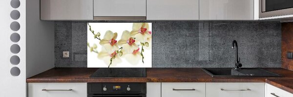 Skleněný panel do kuchynské linky Orchidej pksh-102443917