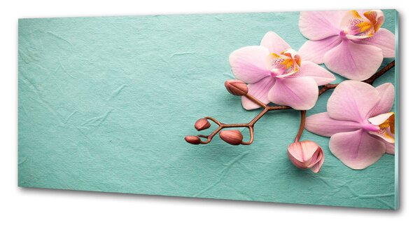 Skleněný panel do kuchynské linky Orchidej pksh-102905480