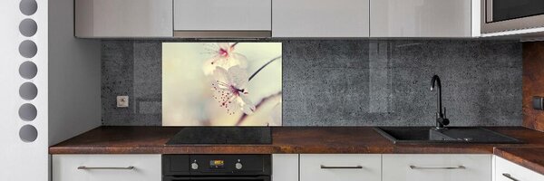 Dekorační panel sklo Květ višně pksh-102906126
