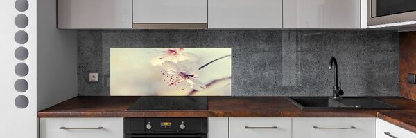 Dekorační panel sklo Květ višně pksh-102906126