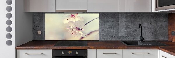 Dekorační panel sklo Květ višně pksh-102906126