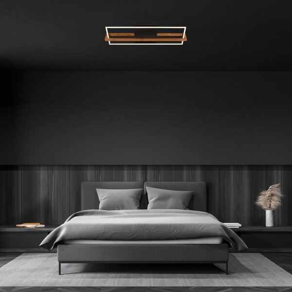 Briloner 3777-015 - LED Stropní svítidlo FRAME LED/21W/230V 3000K černá