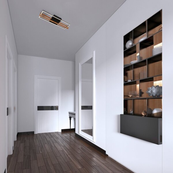Briloner 3777-015 - LED Stropní svítidlo FRAME LED/21W/230V 3000K černá