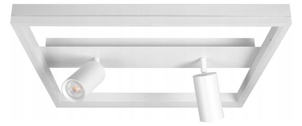 LED Stropní svítidlo LED/38W/230V + 2xGU10/30W bílá