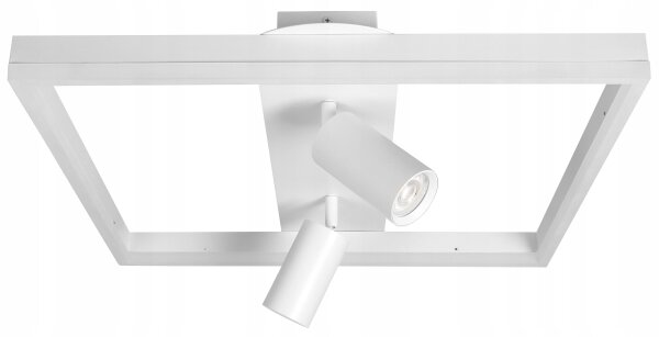 LED Stropní svítidlo LED/38W/230V + 2xGU10/30W bílá