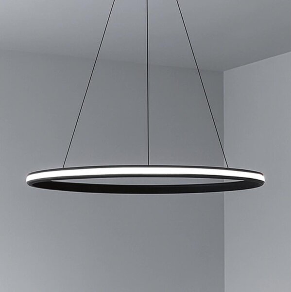 LED Stmívatelný lustr na lanku LED/55W/230V 3000-6500K pr. 60 cm + DO