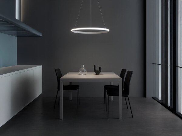 LED Stmívatelný lustr na lanku LED/55W/230V 3000-6500K pr. 60 cm + DO