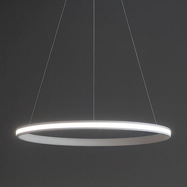 LED Stmívatelný lustr na lanku LED/55W/230V 3000-6500K pr. 60 cm + DO