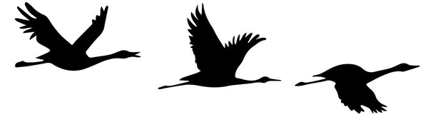 ASIR Nástěnná dekorace kovová MALLARD
