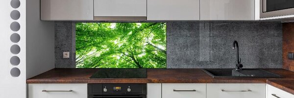 Dekorační panel sklo Zelený les pksh-103615746