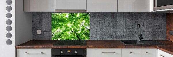 Dekorační panel sklo Zelený les pksh-103615746