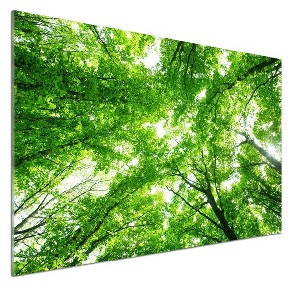 Dekorační panel sklo Zelený les pksh-103615746