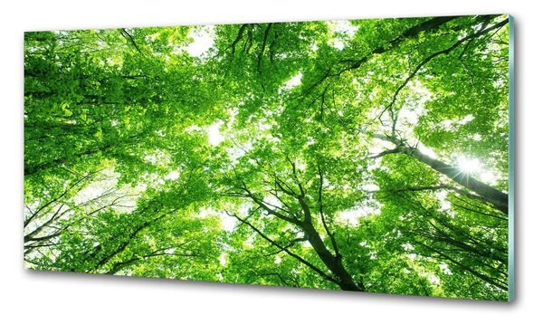 Dekorační panel sklo Zelený les pksh-103615746