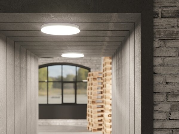 LED Stmívatené koupelnové stropní svítidlo LED/15W/230V pr. 30 cm IP54