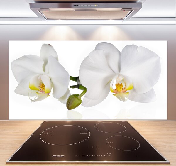 Skleněný panel do kuchynské linky Orchidej pksh-103920801