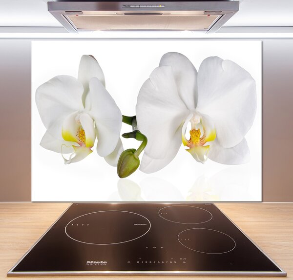 Skleněný panel do kuchynské linky Orchidej pksh-103920801
