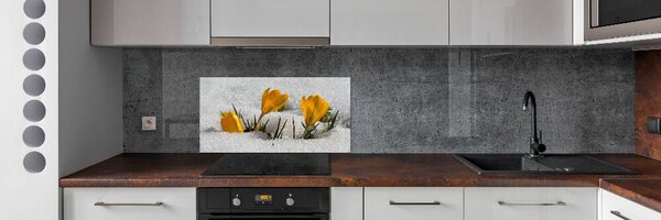 Panel do kuchyně Krokusy ve sněhu pksh-103983821