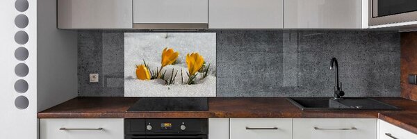 Panel do kuchyně Krokusy ve sněhu pksh-103983821