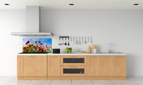 Dekorační panel sklo Divoké růže pksh-104021490
