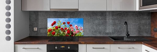 Dekorační panel sklo Divoké růže pksh-104021490