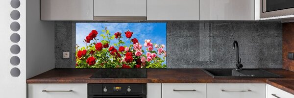 Dekorační panel sklo Divoké růže pksh-104021490