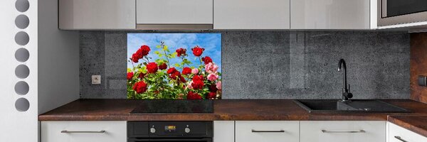 Dekorační panel sklo Divoké růže pksh-104021490