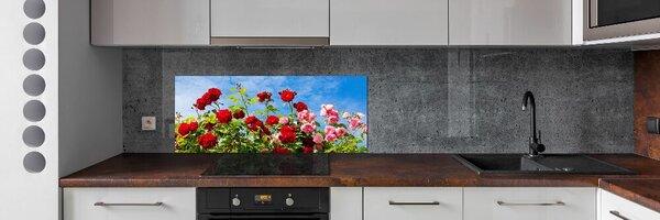Dekorační panel sklo Divoké růže pksh-104021490