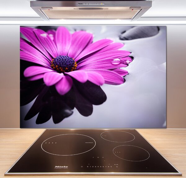 Skleněný panel do kuchyně Gerbera pksh-104053300