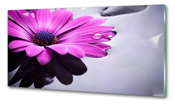 Skleněný panel do kuchyně Gerbera pksh-104053300