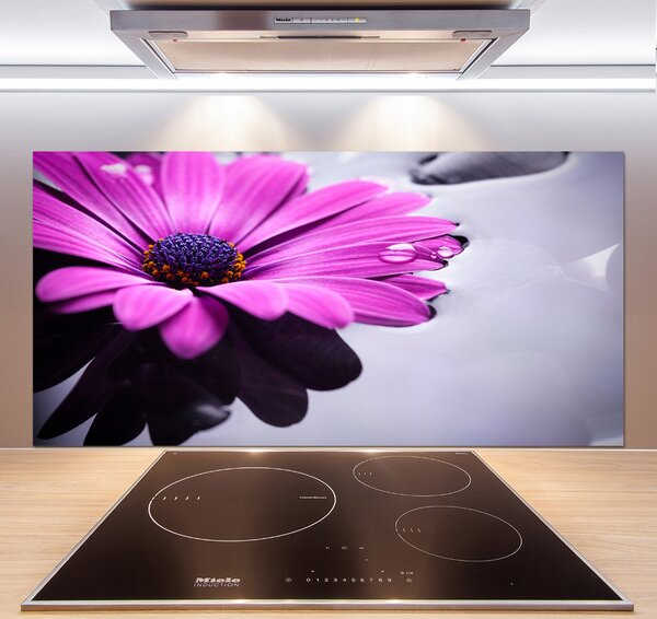 Skleněný panel do kuchyně Gerbera pksh-104053300