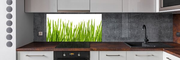 Skleněný panel do kuchyně Tráva pksh-104077320