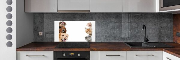 Dekorační panel sklo Psy a kočky pksh-104206550