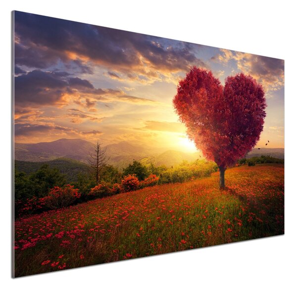 Panel do kuchyně Strom pole srdce pksh-104301472