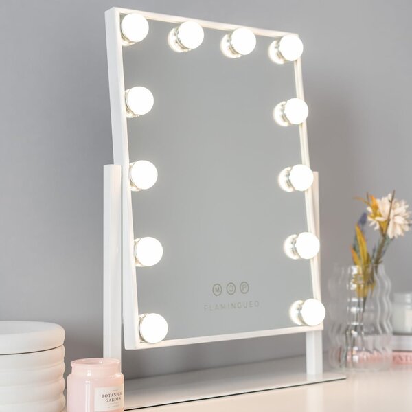 Zrcadlo Flamingueo s osvětlením, 12 LED diod, kosmetické zrcadlo, 3 režimy