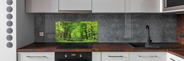 Dekorační panel sklo Jarní les pksh-104709227
