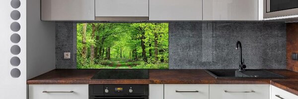 Dekorační panel sklo Jarní les pksh-104709227