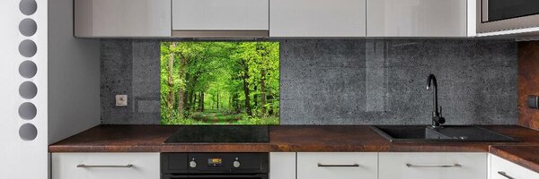 Dekorační panel sklo Jarní les pksh-104709227