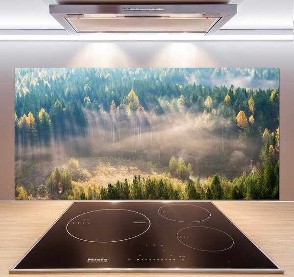 Dekorační panel sklo Mlha v lese pksh-104886541